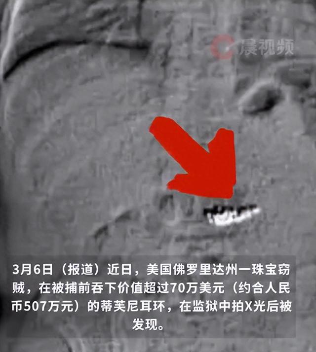 下价值超70万美元的蒂芙尼耳环开元棋牌美国一珠宝窃贼被捕前吞(图1)