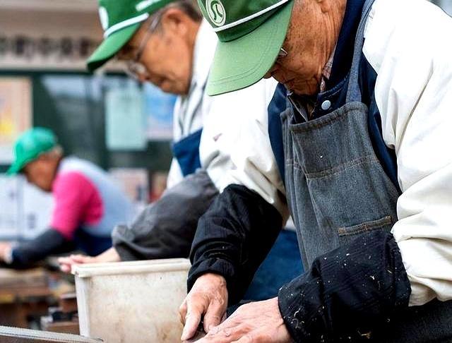 狂！专家建议老人日本网友：太对了ky开元棋牌日本“恨老”已近疯(图5)